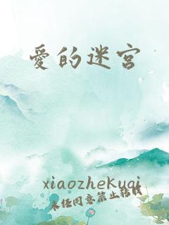 爱的迷宫