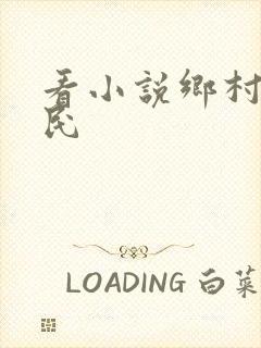 看小说乡村小农民