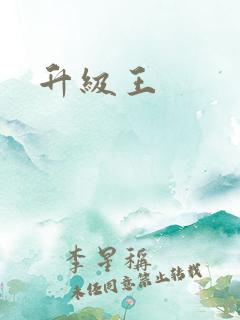 升级王