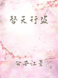 替天行盗