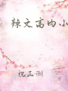 辣文高肉小说