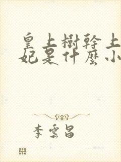 皇上树干上太子妃是什么小说