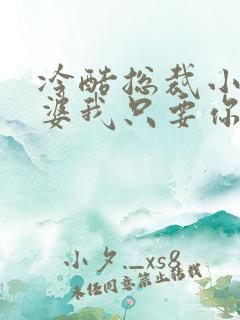 冷酷总裁小小老婆我只要你
