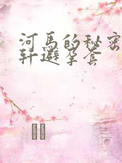河马的秘密河文轩避孕套