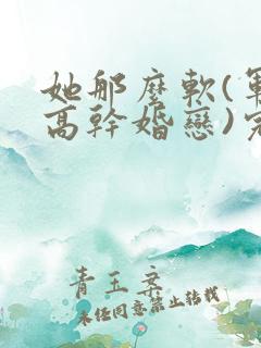 她那么软(军婚高干婚恋)完结