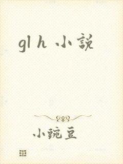 gl h 小说