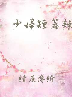 少妇短篇辣文