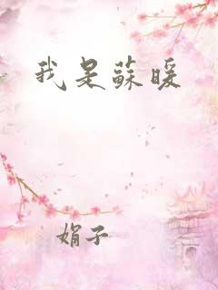 我是苏暖
