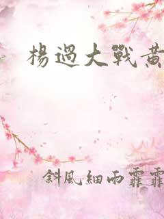 杨过大战黄蓉