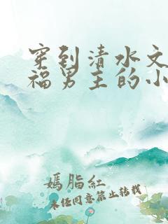 穿到清水文里造福男主的小说