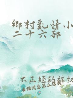 乡村乱情小雷第二十六部
