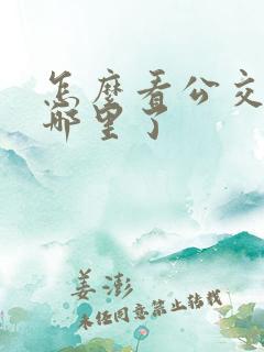 怎么看公交车到哪里了