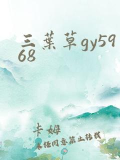三叶草gy5968