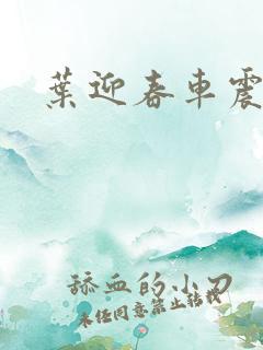 叶迎春车震