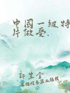 中国一级特黄大片做受.
