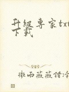 升级专家txt下载