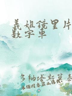 义姐镜里片微博数字车