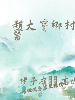 赵大宝乡村小神医