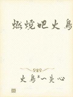 燃烧吧火鸟小说