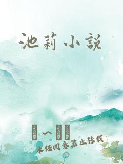 池莉小说