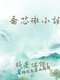 乔芯微小说