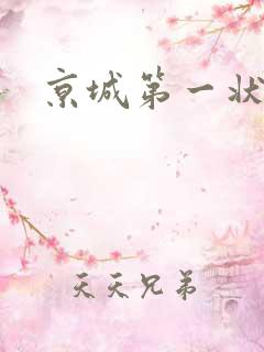 京城第一状师