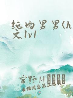 纯肉男男(h)文1v1