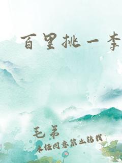 百里挑一李睿