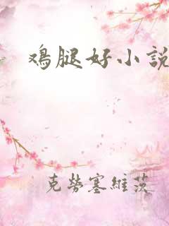 鸡腿好小说网