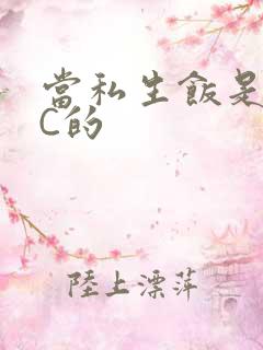 当私生饭是要挨C的