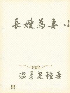 长嫂为妻 小说