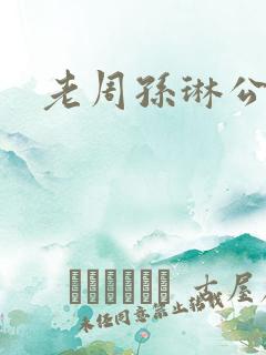 老周孙琳公交车