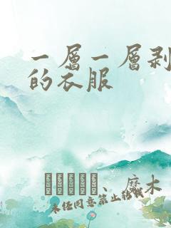 一层一层剥开我的衣服