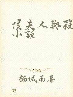 侯夫人与杀猪刀小说