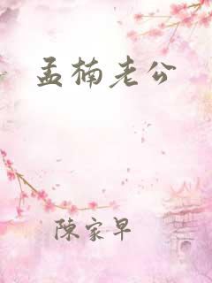 孟楠老公