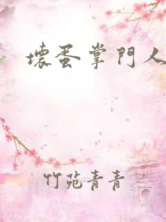 坏蛋掌门人