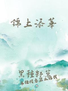 锦上添华