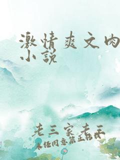 激情爽文肉高h小说