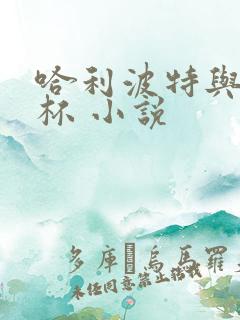 哈利波特与火焰杯 小说