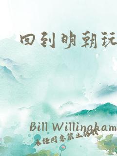 回到明朝玩网游