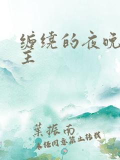 缠绕的夜晚双男主