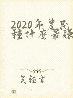 2020年农民种什么最赚钱