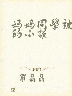 妈妈同学被夺走的小说
