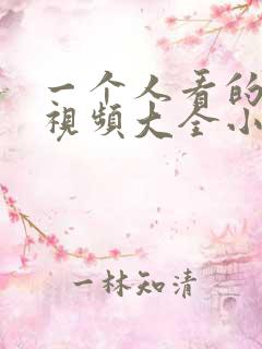 一个人看的免费视频大全小说