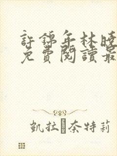 许锦年林晓小说免费阅读最新章节