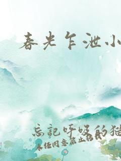 春光乍泄小说