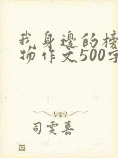 我身边的榜样人物作文500字