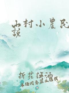 山村小农民 小说