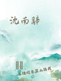 沈南辞