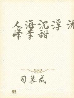 人海沉浮 沈小峰李甜